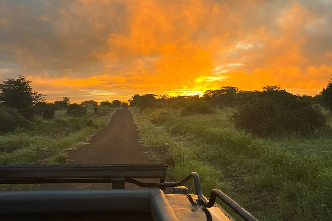 Nairobi National Park Daily Game drives. - Guide quality is the real difference-maker on a city safari