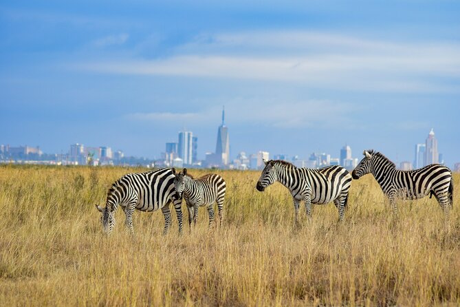 Nairobi: National Park Early Morning or Afternoon Game Drive - Nairobi Observation Deck Views: The Skyline Stop That Sets the Mood