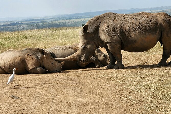 Nairobi National Park, Elephant Orphanage and Giraffe Center Tour - Optional craft stops: Kobe Tough Beads and Utamaduni in Karen and Langata