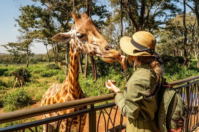 Nairobi National Park, Elephant Orphanage and Giraffe Centre - Key things I’d plan around before you go