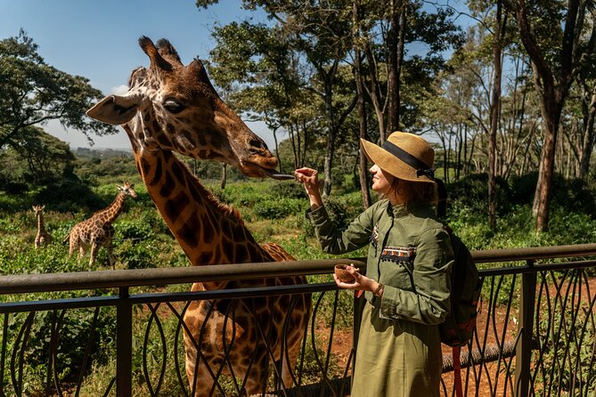 Nairobi National Park, Elephant Orphanage and Giraffe Centre - Sheldrick Wildlife Trust, where the story is recovery