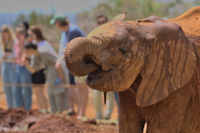 Nairobi National Park, Elephant Orphanage and Giraffe Centre - Kobe Tough Beads and leather, a craft stop with real purpose