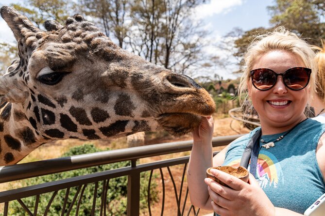 Nairobi National Park, Elephant Orphanage and Giraffe Centre - Cultiva Farm Kenya, a lunch break that keeps you moving