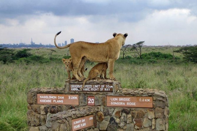 Nairobi National Park, Elephant Orphanage, Giraffe Centre Tour - Key highlights to know before you go