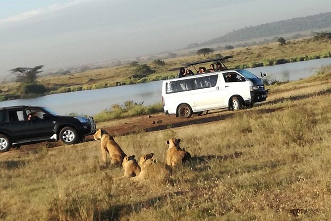 Nairobi National Park, Elephant Orphanage, Giraffe Centre Tour - Guides and the difference between good and great safari time