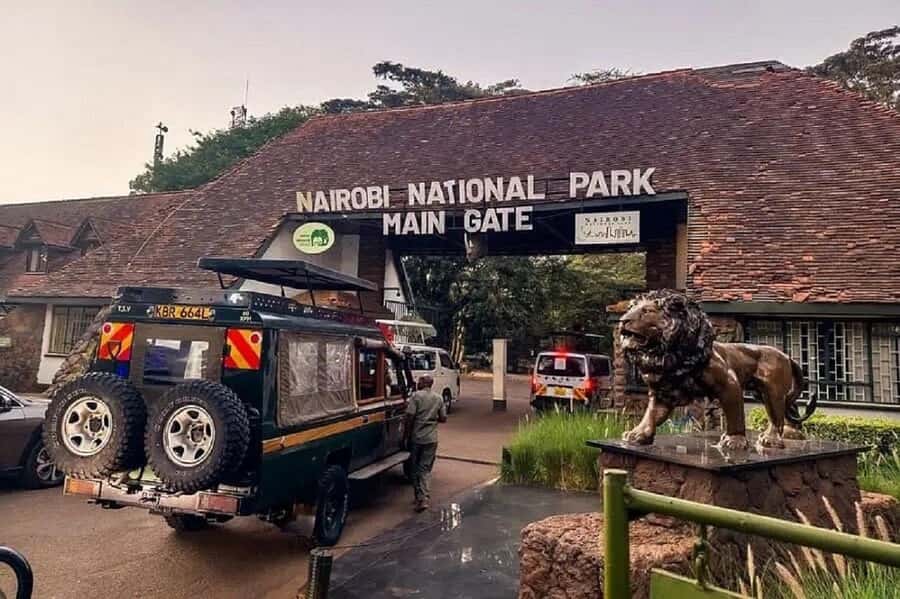 Nairobi: National Park, Elephant Orphanage & Giraffe Tour - How the timing and transport shape the experience