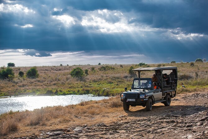 Nairobi National Park Game Drive - Shared Experience in Open Jeep - What you’re looking for: 4 Big Five targets plus birds and mammals