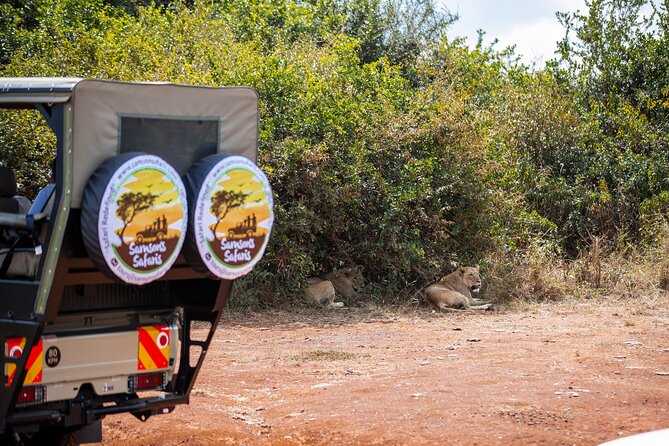 Nairobi National Park Game Drive - Shared Experience in Open Jeep - Price and what you actually get for $75