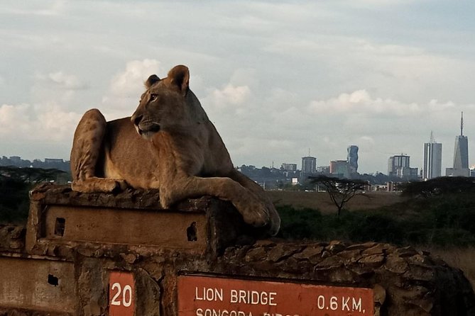 Nairobi National Park Game Drive With Free Pick Up Group Joining - Nairobi National Park: Big Animals in a City-Edge Setting