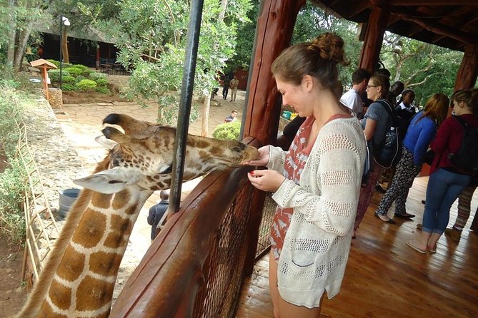 Nairobi National Park, Giraffe Center and Elephant Orphanage Day Tour from Nairobi - What to expect during your 8-hour day (and how to make it smoother)