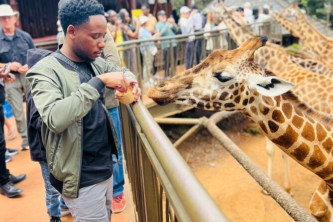 Nairobi National Park Giraffe Center Carnivore Lunch - Key highlights
