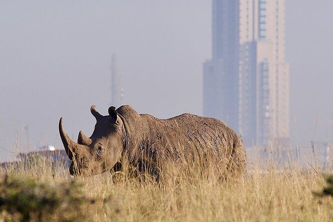 Nairobi National Park Giraffe Center Carnivore Lunch - Price and Value, What the $120 Gets You