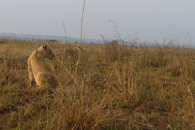Nairobi National Park, Giraffe Center & Karen Blixen Museum - Price and value: what $85.35 really covers