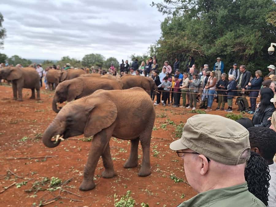 Nairobi National Park,Giraffe Center,Orpanage&Karen Blixxen - Karen Blixxen in the mix: how to plan when stops are name-only in the title