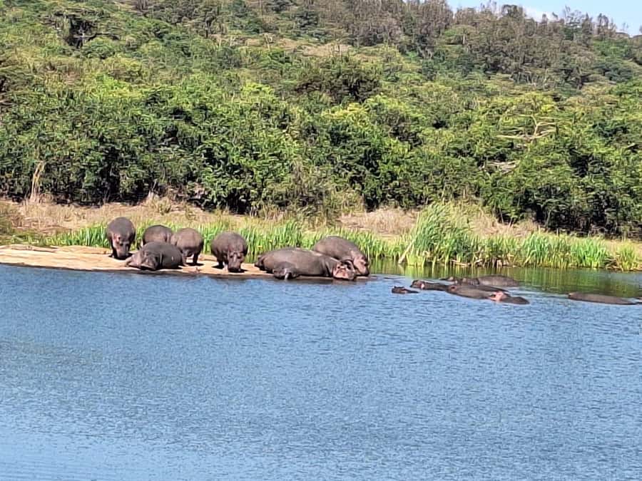 Nairobi National Park,Giraffe Center,Orpanage&Karen Blixxen - What to bring, and how to make your day smoother