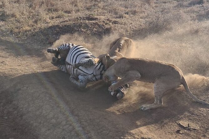 Nairobi National Park Group Shared Tour - Should you book Safaris By Suzette for Nairobi National Park?