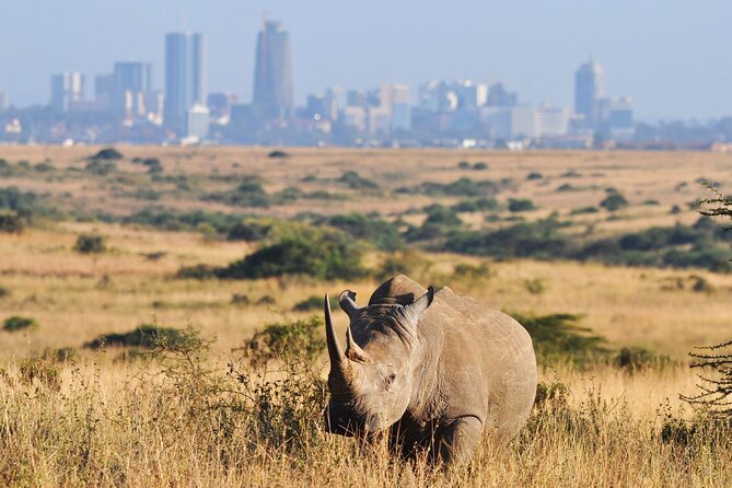 Nairobi National Park Group Tour - Price and value: what you pay for, what costs extra