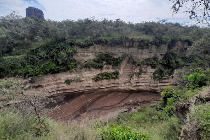 Nairobi National Park Group Tour - FAQ