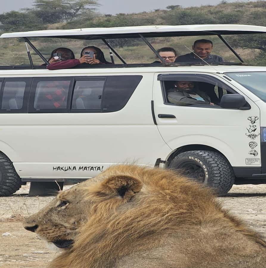 Nairobi: National Park Guided Game Drive - Nairobi National Park Works for a Half-Day Safari