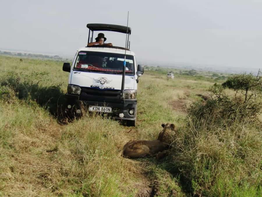 Nairobi: National Park Guided Game Drive For 5 Hours - Key highlights to plan your Nairobi National Park game drive