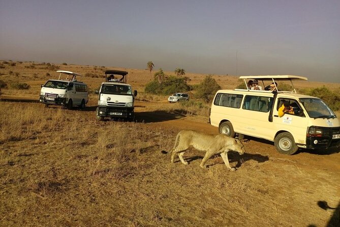 Nairobi National Park Half Day Game Drive Tour With Free WIFI - Practical Tips That Make the Drive Smoother
