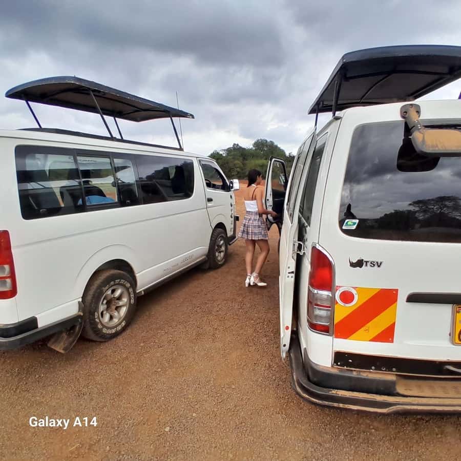 Nairobi National Park: Half-Day Group Tour with Pickup - Four hours of animals near the city: what to watch for