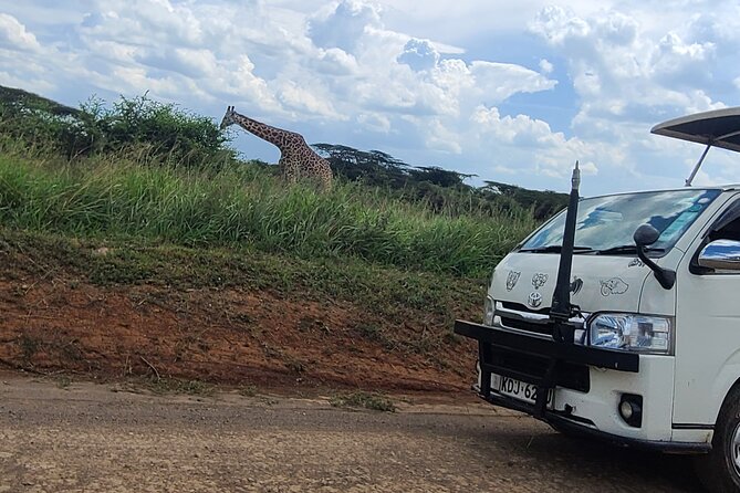 Nairobi national park half day tour - Stop 1: Nairobi National Park at sunrise