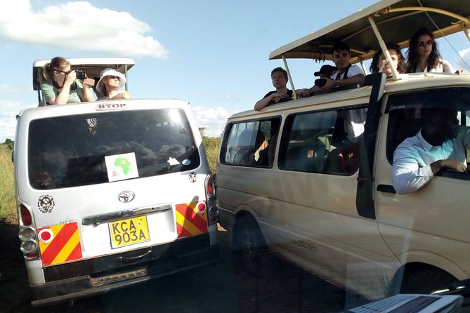 Nairobi National Park Half-Day Tour; Free Wi-Fi connection - Nairobi National Park Game Drive: Where to Expect the Best Odds