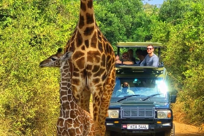 Nairobi National Park Half Day Tour with Landcruiser with Pickup - Nairobi National Park in half a day, without the long haul