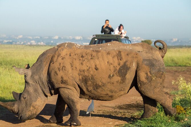 Nairobi National Park Half Day Tour with Landcruiser with Pickup - Your timing: pickup, ecitizen entry, then 5 hours of game drive
