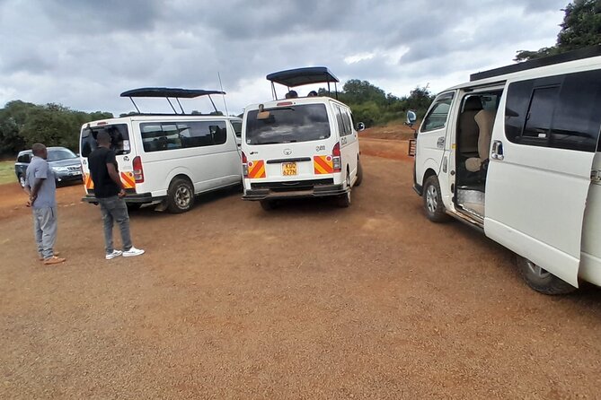 Nairobi National Park Half Day with Pickup - What you might see: black rhinos, Big Five chances, and birds