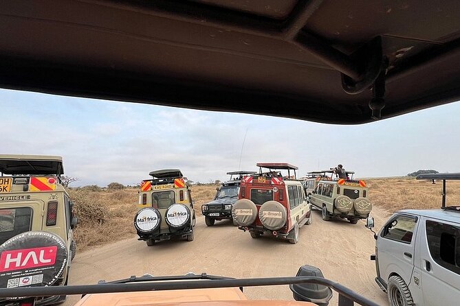 Nairobi National Park Half Day with Pickup - Photo stops and the city skyline effect