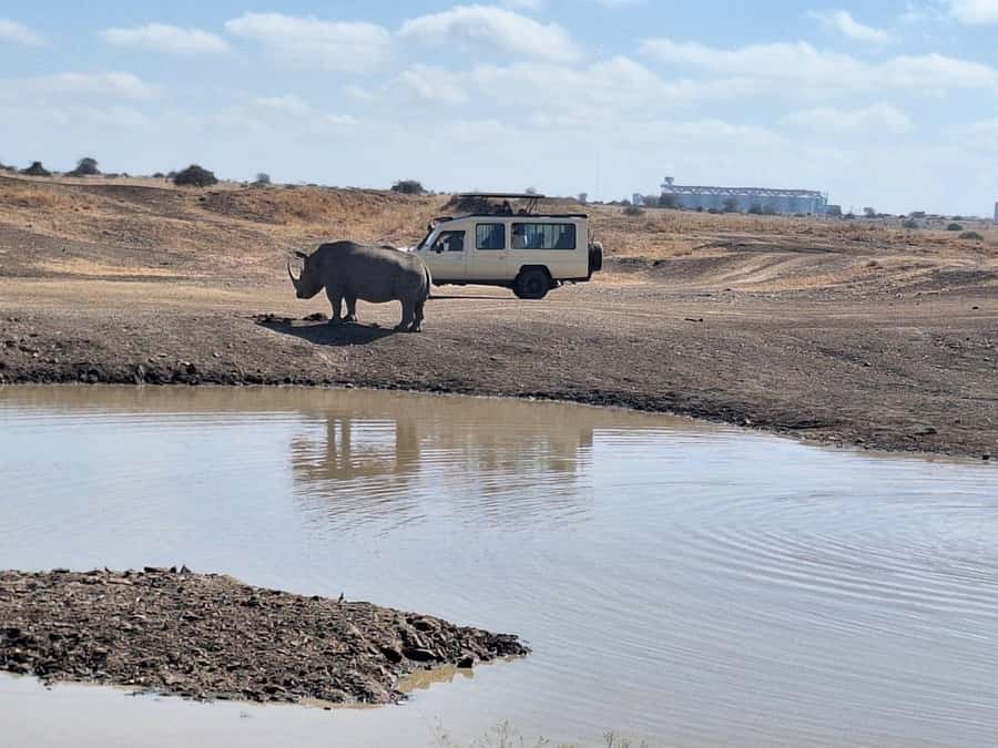 Nairobi National Park Morning Or Evening Game Drive Tour - Nairobi National Park, Six Miles From Nairobi