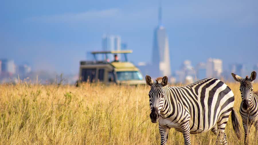 Nairobi National Park, Orphanage, Giraffe & Beads Tour - Nairobi National Park: safari views with a city skyline