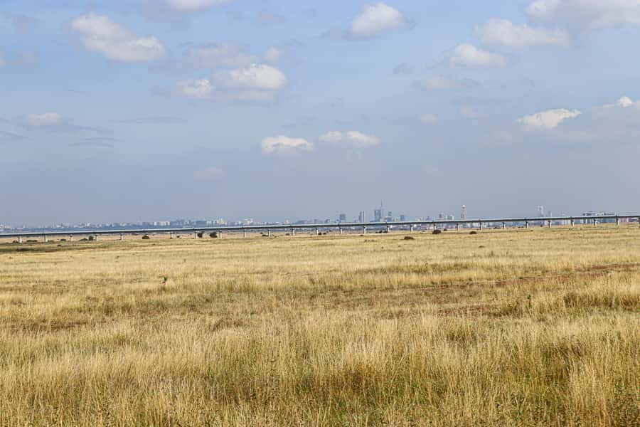 Nairobi National Park, Orphanage, Giraffe & Beads Tour - Who this tour fits best
