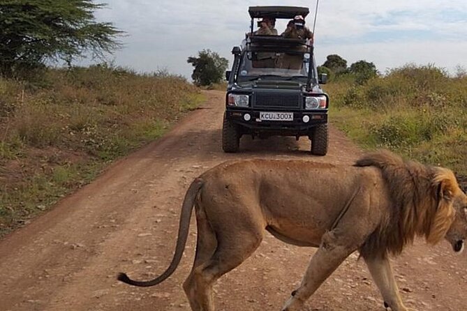 Nairobi National park private day tour - Quick highlights worth planning for
