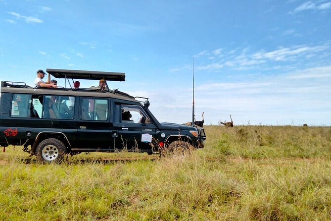 Nairobi National park private day tour - Lunch at Carnivore Restaurant or Mamba Village: Plan for Your Own Budget