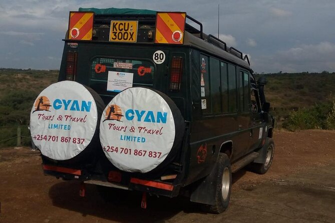 Nairobi National park private day tour - The Game Drive: Lions, Leopards, Giraffes, and the Surprises