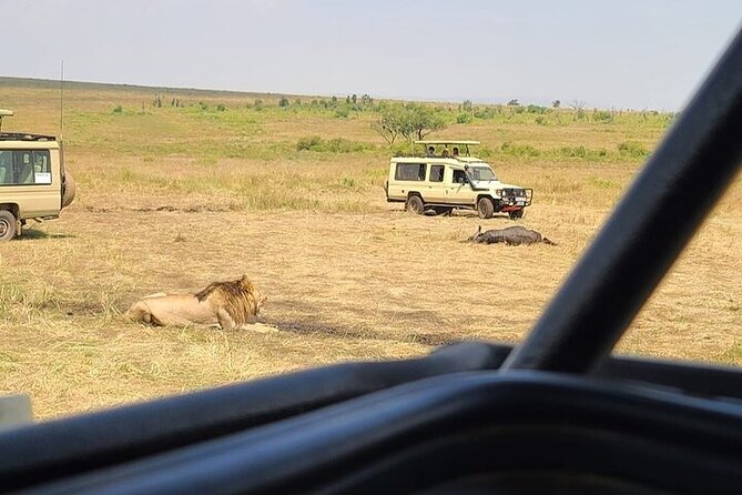 Nairobi National Park Private Half Day Tour with Pick up - The Meeting Point Reality Check: Starting and Ending Where You Began