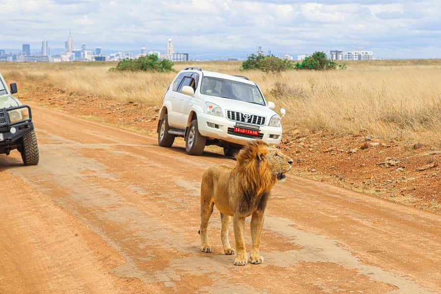 Nairobi: National Park Private Tour in 4X4 Jeep - Key highlights worth getting excited about