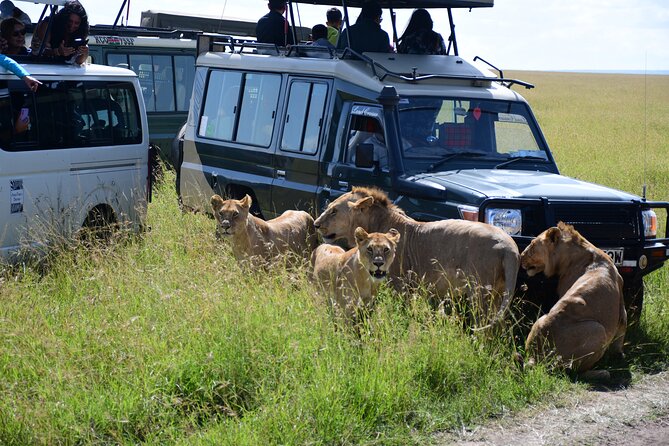 Nairobi National Park Shared Tour - City Skyline Views, Open Plains, and Why This Safari Feels Different
