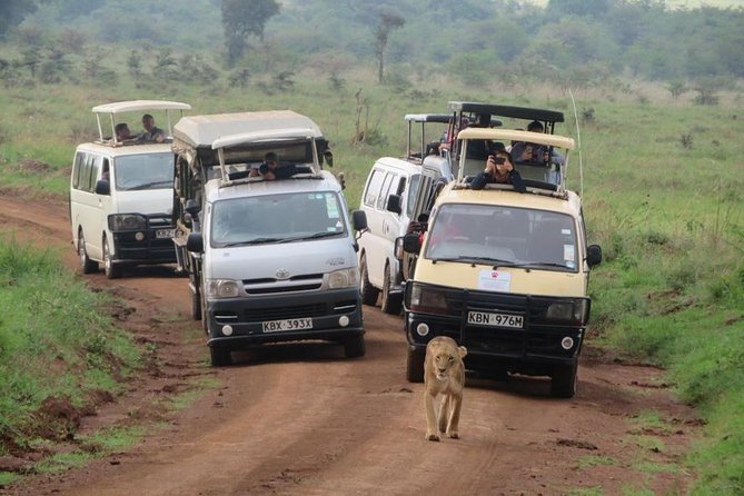 Nairobi National Park, Sheldrick Elephant, Giraffe Centre Tour - Who This Tour Is Best For