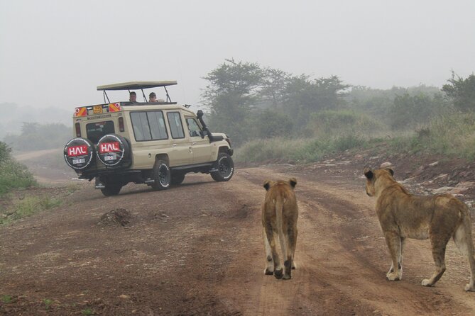 Nairobi National Park Sheldrick & Giraffe Centre Day Trip - The price and value math, plus what to budget for up front