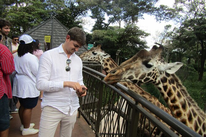 Nairobi National Park Sheldrick & Giraffe Centre Day Trip - Who this Nairobi day trip is perfect for