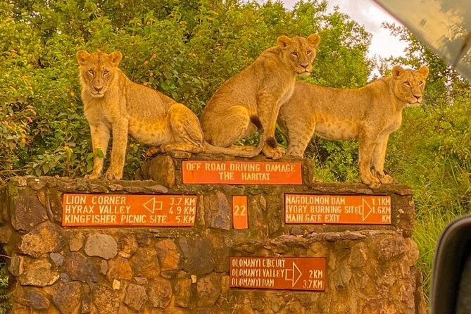 Nairobi National park sun rise game drive with pickup & drop-off - Who this sunrise drive is for, and who should skip it