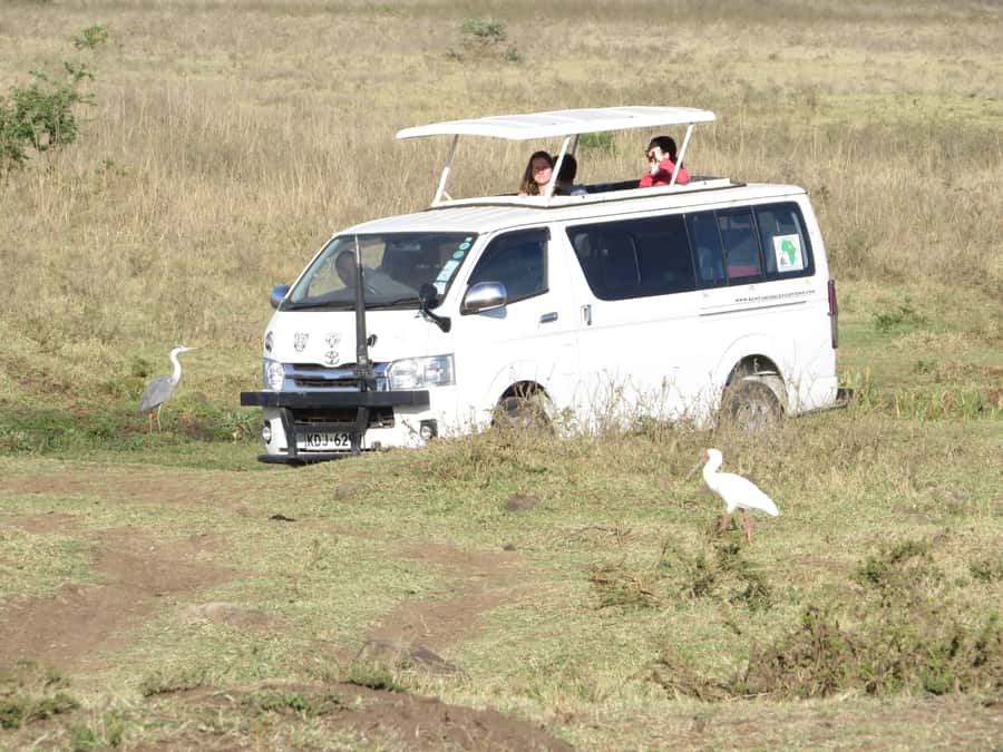 Nairobi national park: Sunrise and Sunset Tours - Key things that make this Nairobi safari tick