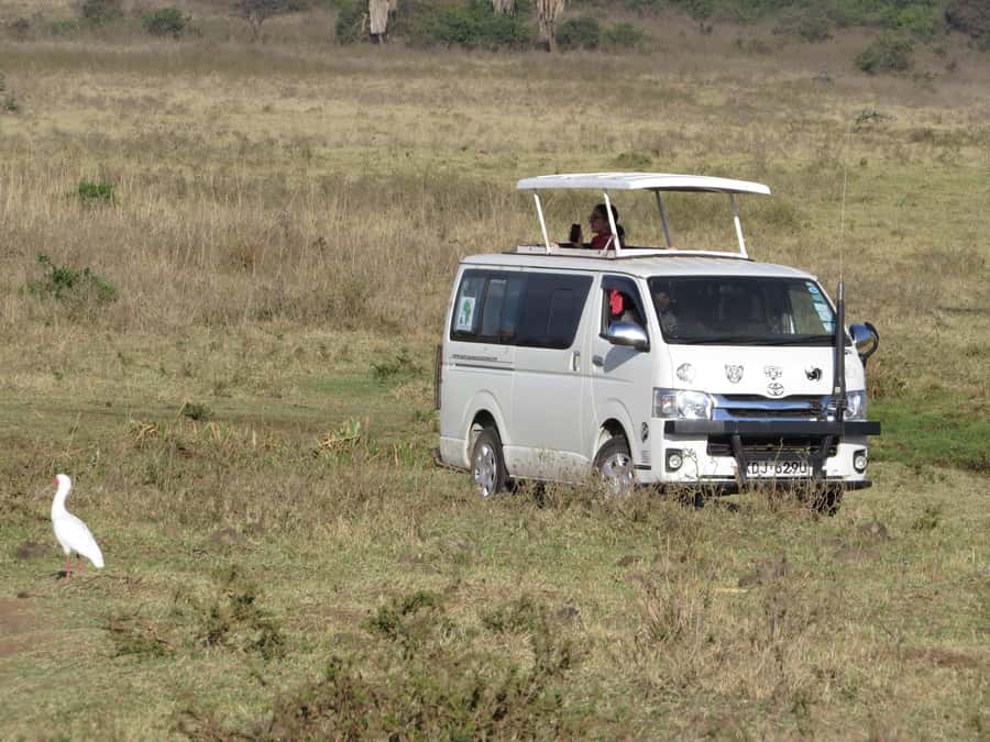 Nairobi national park: Sunrise and Sunset Tours - The open-roof safari vehicle and guide skills that matter