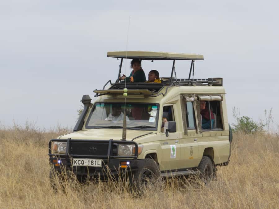 Nairobi national park: Sunrise and Sunset Tours - What you might see: big cats, rhinos, and even water wildlife