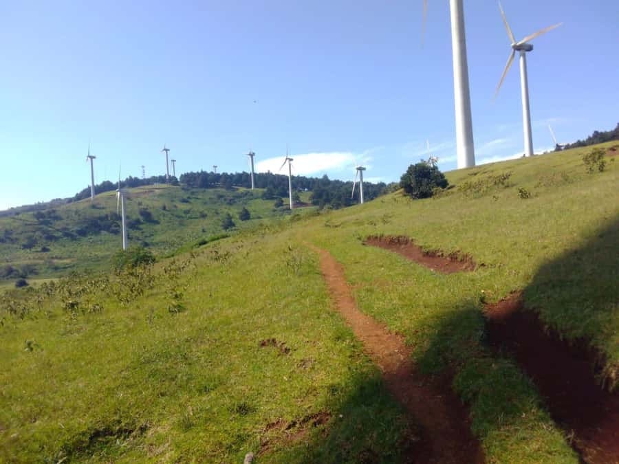 Nairobi: Ngong Hills Hiking and Zip Lining Tour - The Nature Lesson: Indigenous Trees and Wildlife Spotting With Your Guide