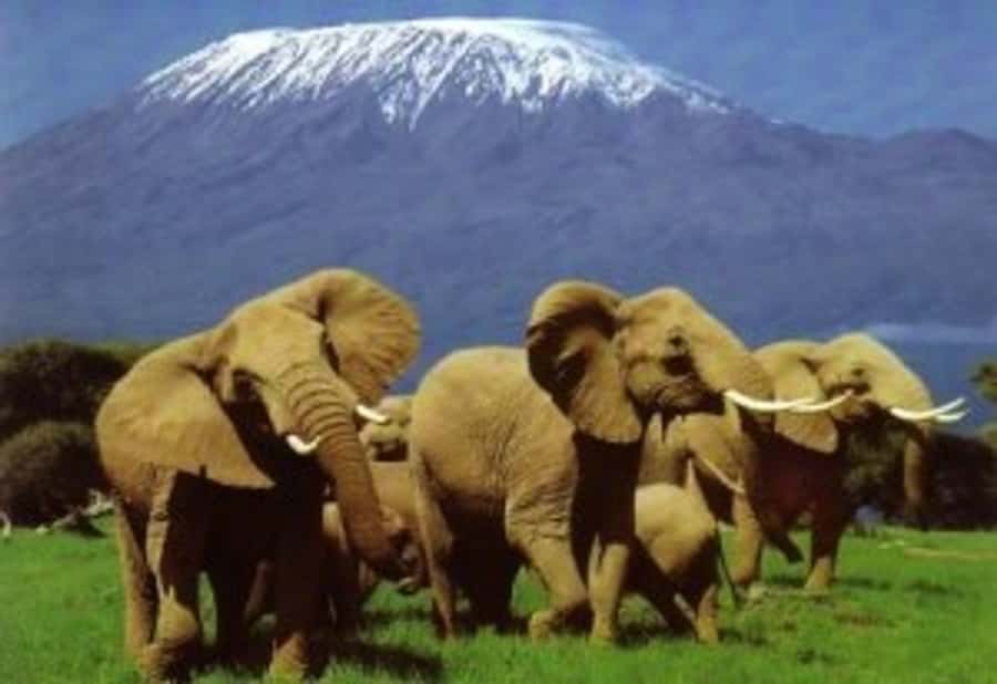 Nairobi: Overnight Safari Trip to Amboseli National Park - From Nairobi to Amboseli: what the long drive is really for